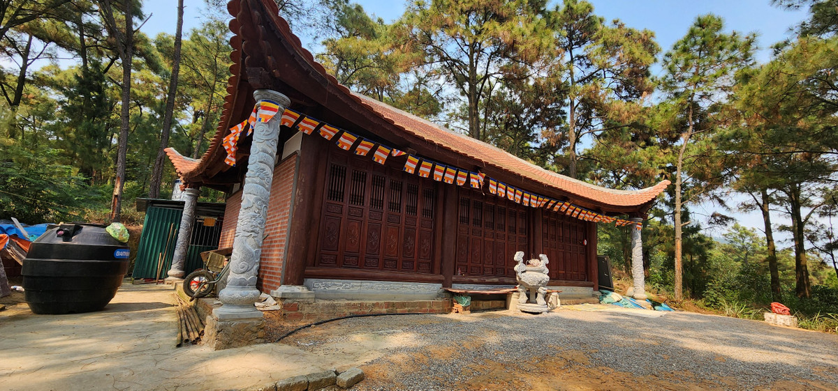 Chùa Trình được cho là xây dựng không phép, nhưng theo sư trụ trì chùa Lôi Âm công trình mới này không do chùa xây và chùa không quản lý. Sư trụ trì chùa Lôi Âm Thích Bản Tường cho biết: “Công trình không nằm trong di tích và không nằm trong sổ đỏ của chùa quản lý. Nằm ở ngoài và chắc là do nhân dân xây dựng. Chùa Lôi Âm chỉ từ cổng chùa trở lên, còn đất ở ngoài cổng là của dân”.