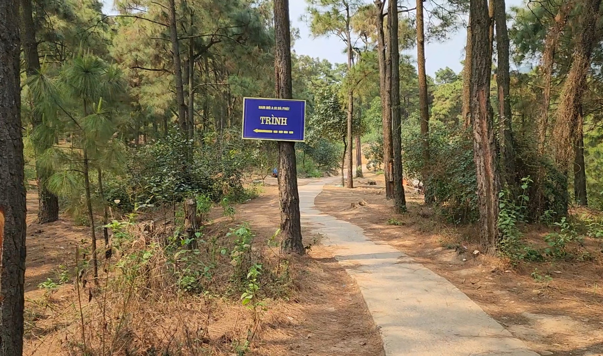 Nằm cách bến thuyền hồ Yên Lập chừng 80m, men theo con đường bê tông nhỏ sẽ bắt gặp tấm biển “Chùa Trình”.