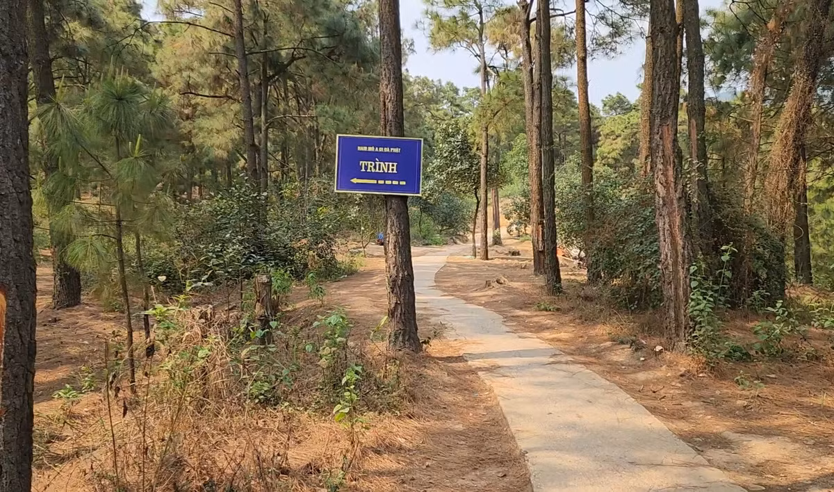 Nằm cách bến thuyền hồ Yên Lập chừng 80m, men theo con đường bê tông nhỏ sẽ bắt gặp tấm biển “Chùa Trình”.