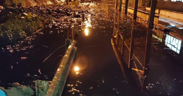 Su co sat lo bao o luu chua bun tai bai rac Nam Son