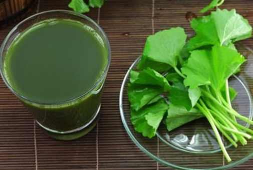 Rau má thường mọc tự nhiên ở bờ ruộng hoặc những nơi có đất trong lành vì vậy nó là loại rau sạch 1000% an toàn không lo hóa chất. Bên cạnh đó, rau má còn giúp chị em giảm cân làm đẹp da vô cùng tốt.