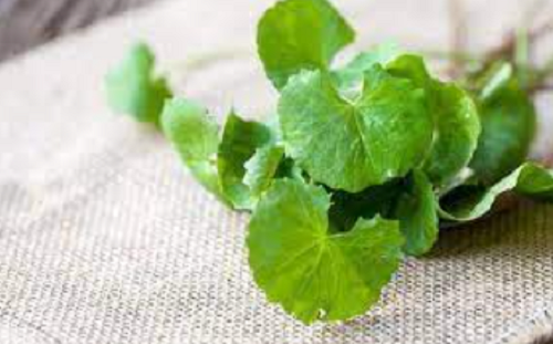 Bởi vậy, bạn đừng bao giờ bỏ qua loại rau này nhất là trong nhưng ngày hè nóng bức như thế này nhé.