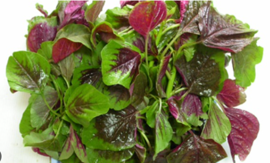 Rau dền cơm: Hàm lượng sắt lớn trong rau dền giúp gia tăng lượng hemoglobin và tế bào hồng cầu. Chính vì thế đây là thực phẩm rất có lợi cho bệnh nhân thiếu máu. Nếu ăn rau dền thường xuyên còn giúp ổn định đường huyết, cải thiện bệnh tiểu đường tuýp 2. Rau dền phù hợp sử dụng mùa hè giúp giải nhiệt, giải độc cực tốt.