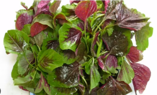 Rau dền cơm: Hàm lượng sắt lớn trong rau dền giúp gia tăng lượng hemoglobin và tế bào hồng cầu. Chính vì thế đây là thực phẩm rất có lợi cho bệnh nhân thiếu máu. Nếu ăn rau dền thường xuyên còn giúp ổn định đường huyết, cải thiện bệnh tiểu đường tuýp 2. Rau dền phù hợp sử dụng mùa hè giúp giải nhiệt, giải độc cực tốt.