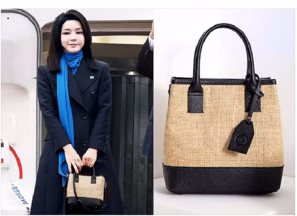 Chiec tui xach dac biet cua phu nhan Tong thong Han Quoc-Hinh-2