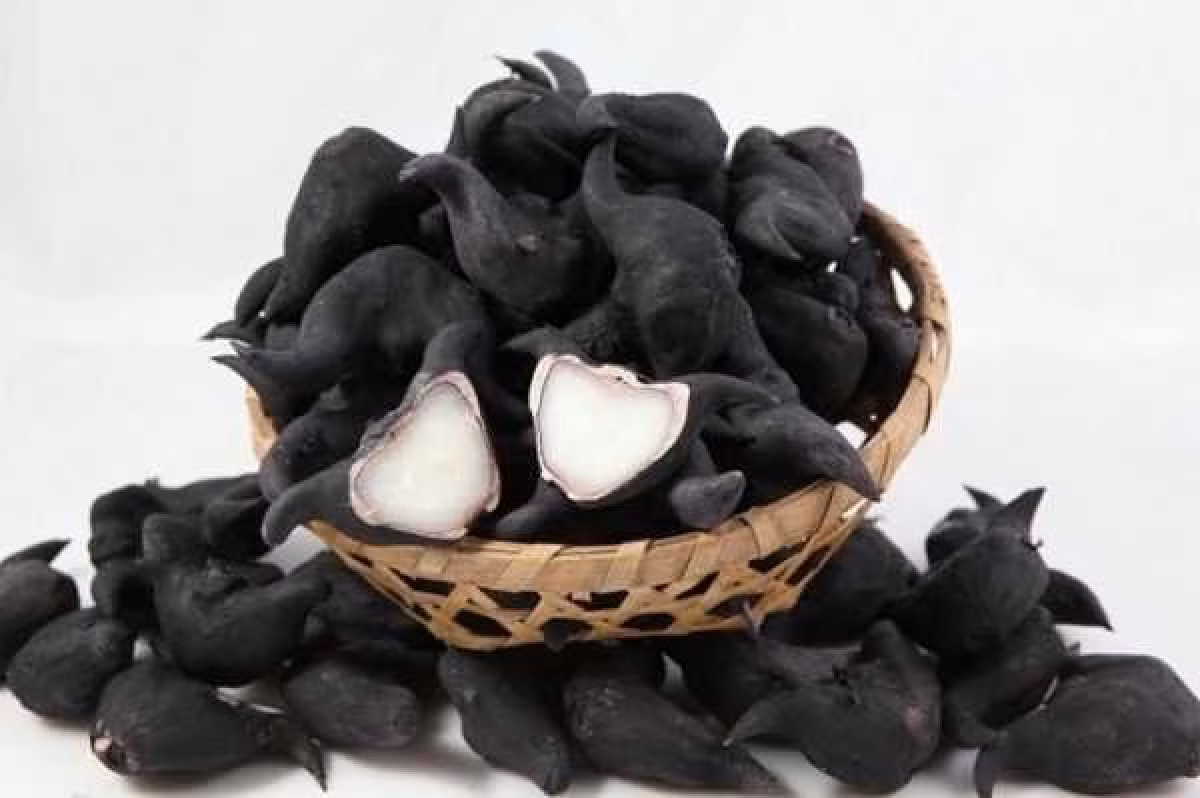 Suyt mat mang vi cu au tau: Tiet lo chat doc chet nguoi-Hinh-2