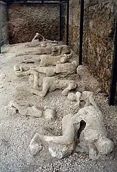 Các chuyên gia đã nghiên cứu, kiểm tra các thi hài được tìm thấy ở Pompeii để giải mã cái chết của họ. Kết quả nghiên cứu cho thấy hầu hết nạn nhân tử vong trong vụ phun trào núi lửa Vesuvius là do sốc nhiệt. Điều này xảy ra khi nạn nhân tiếp xúc với hơi nóng kinh hoàng từ dòng dung nham núi lửa.
