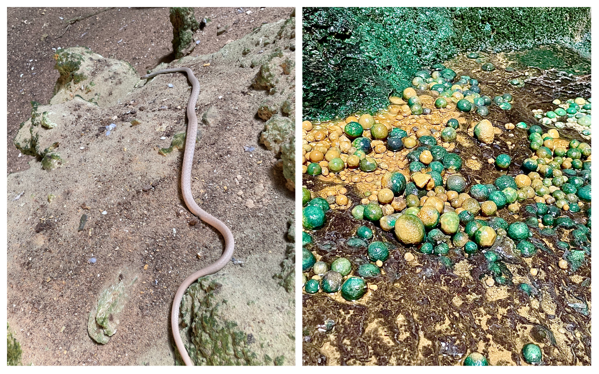 Nhóm nghiên cứu cho hay sẽ thu thập thêm các mẫu để sớm giải mã quá trình hình thành "giếng Barhout" một cách khoa học.