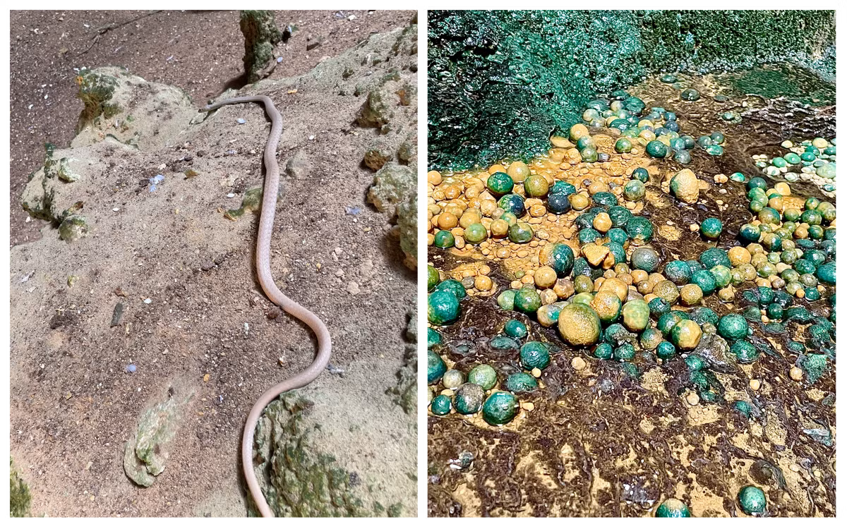 Nhóm nghiên cứu cho hay sẽ thu thập thêm các mẫu để sớm giải mã quá trình hình thành "giếng Barhout" một cách khoa học.