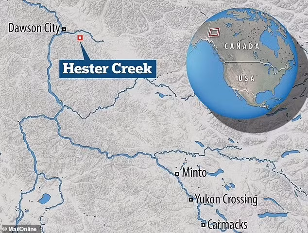 Để thuận tiện cho việc nghiên cứu, các chuyên gia đặt tên cho con sóc đất Bắc Cực cổ đại là "Hester" - theo tên khu vực tìm thấy. Họ biết được con vật này chết khi đang ngủ đông.