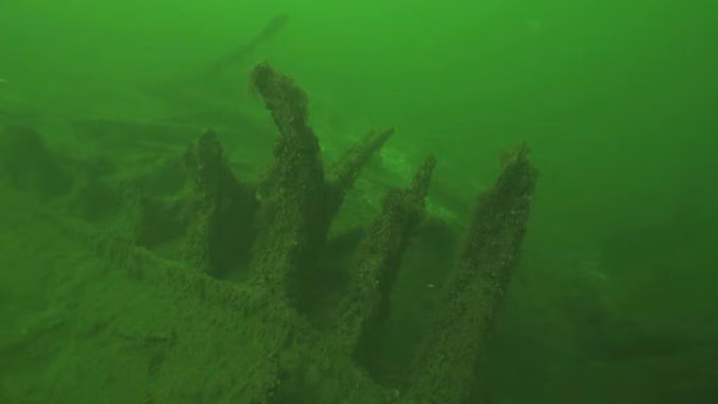 Nhóm của nhà khảo cổ Warming và Rönnby còn xác định chiếc rương là "zeuglade". Đây một loại rương dụng cụ dùng để tạo đạn dược. Họ suy đoán chiếc rương thuộc về một công ty lính đánh thuê nói tiếng Đức trên tàu khi tàu chìm.