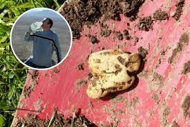 Ông Richard cho biết thêm chiếc máy dò kim loại mà ông dùng chỉ hoạt động được 50% do khá cũ kỹ.