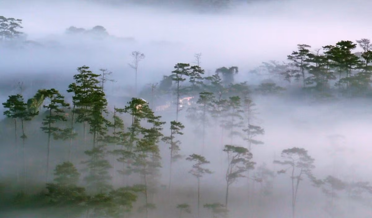 Tuy nhiên, sau khi Thế chiến 1 kết thúc, phía Thổ Nhĩ Kỳ khẳng định chưa từng nhìn thấy đội quân của Anh nên không hề có việc bắt giữ hơn 800 binh sĩ làm tù binh. Theo đó, vụ mất tích tập thể của những binh lính này đến nay vẫn chưa được làm sáng tỏ.