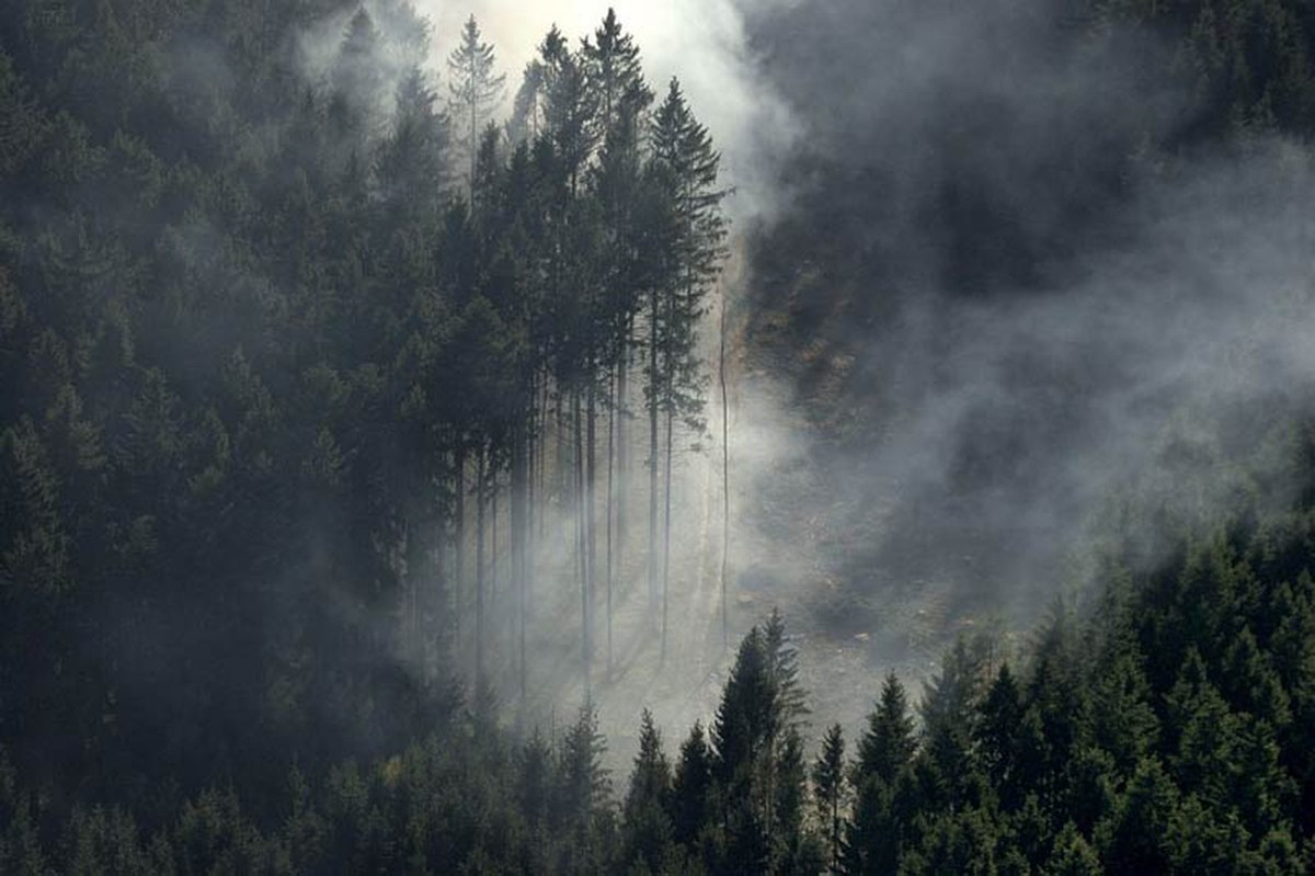 Theo lời kể của các binh sĩ New Zealand, khi đang làm nhiệm vụ canh gác trên một ngọn đồi nhỏ khác cách đó khoảng 60m, họ có thể quan sát nhất cử nhất động của hơn 800 binh sĩ Anh kể từ khi họ bắt đầu hành quân lên núi đến khi biến mất hoàn toàn vào trong làn sương mù.