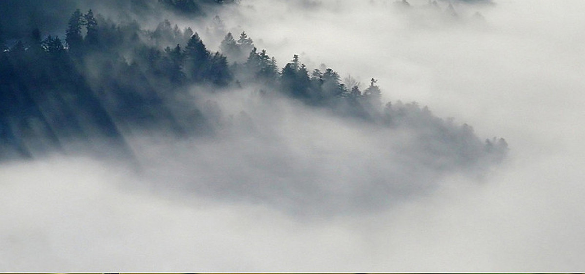 Do không tìm được manh mối nào của những người bị mất tích nên giới chức quân đội Anh suy đoán có khả năng họ bị lực lượng đặc nhiệm của Thổ Nhĩ Kỳ bắt làm giữ tù binh.