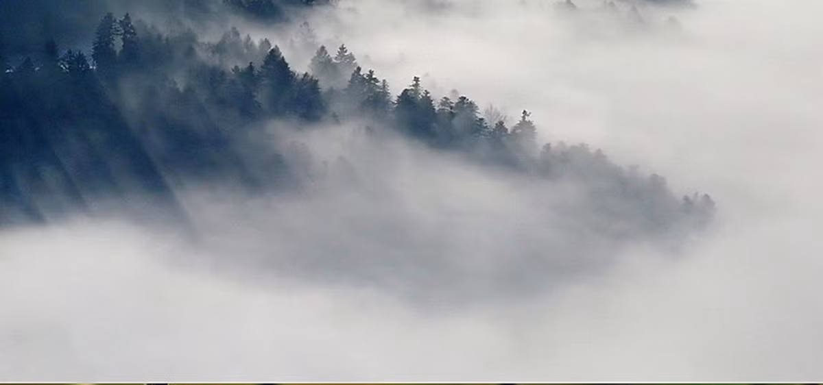 Do không tìm được manh mối nào của những người bị mất tích nên giới chức quân đội Anh suy đoán có khả năng họ bị lực lượng đặc nhiệm của Thổ Nhĩ Kỳ bắt làm giữ tù binh.