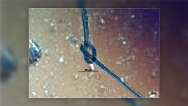 Kết quả kiểm tra những bộ hài cốt thuộc về nạn nhân hiến tế cũng phát hiện có những sợi nhỏ màu xanh lam trong cao răng.