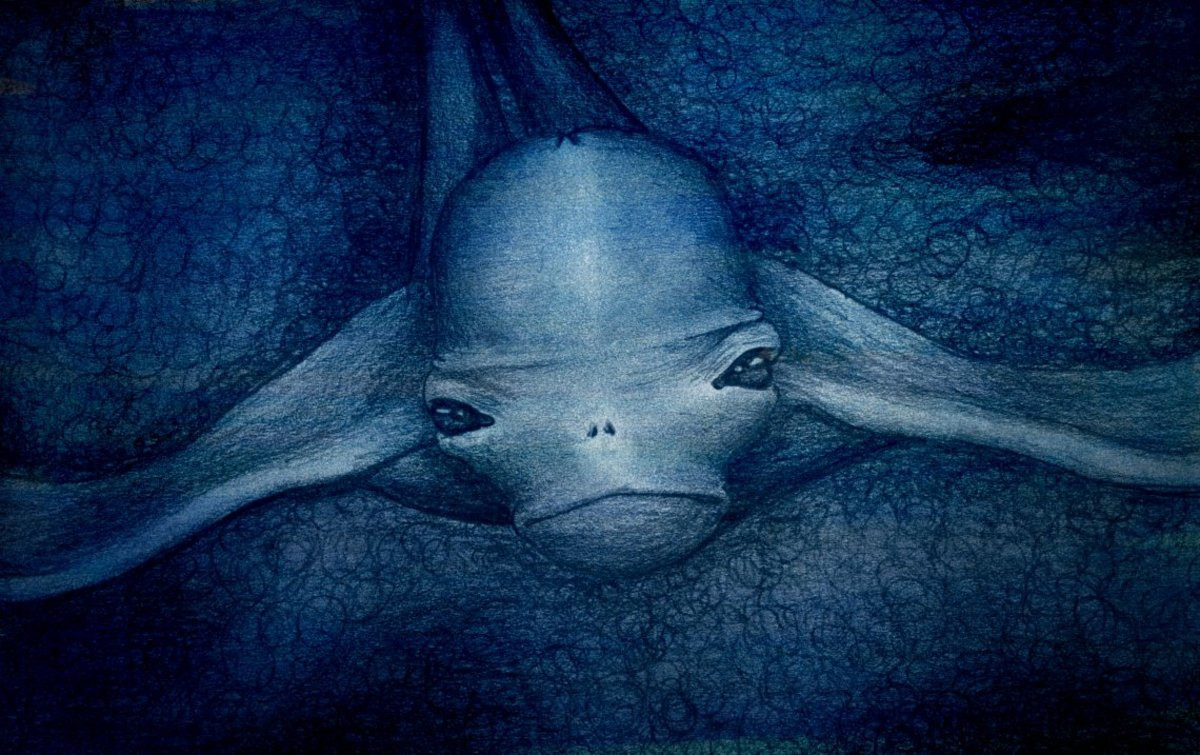 Một sinh vật bí ẩn gây nhiều tò mò là Ningen (trong tiếng Nhật có nghĩa là con người). Được ghi nhận lần đầu vào những năm 1990 bởi tàu đánh cá tại Thái Bình Dương, Ningen có cơ thể to lớn khi có chiều dài khoảng 30m.