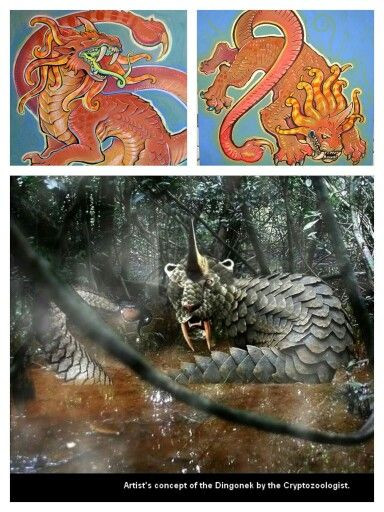 Dingonek còn có những chiếc răng nanh sắc nhọn và một chiếc đuôi của bọ cạp có thể phóng ra nọc độc.