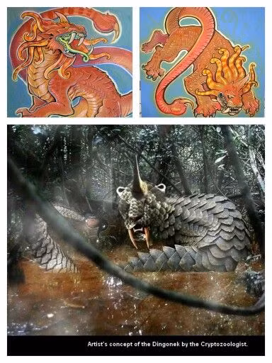 Dingonek còn có những chiếc răng nanh sắc nhọn và một chiếc đuôi của bọ cạp có thể phóng ra nọc độc.