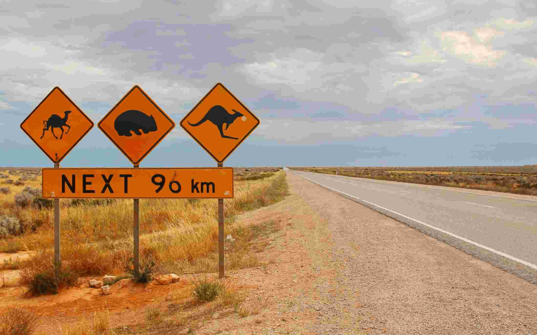 Một số người tuyên bố đã nhìn thấy UFO ở Nullarbor Plain, Australia từ đầu thế kỷ 20. Tuy nhiên, phải đến tháng 1/1988, nơi đây mới trở thành "điểm nóng" UFO và được nhiều người biết đến.