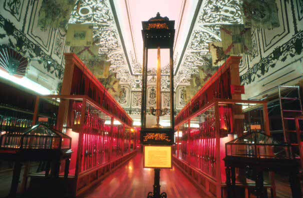 Rodrigo không chỉ là vị chỉ huy quân sự tài ba mà còn là một chiến binh dùng kiếm vô cùng điêu luyện. Vị anh hùng này đã dùng thanh kiếm Tizona chinh chiến nhiều năm và giành được nhiều chiến thắng lừng lẫy trên chiến trường.