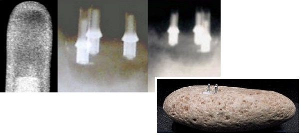 Vào thời điểm đó, điện và các thiết bị điện chưa được con người phát minh. Do đó, những người tin vào UFO cho rằng "phích cắm điện hóa thạch" do người ngoài hành tinh tạo ra chứ không phải sản phẩm do Williams làm ra để lừa bịp mọi người.