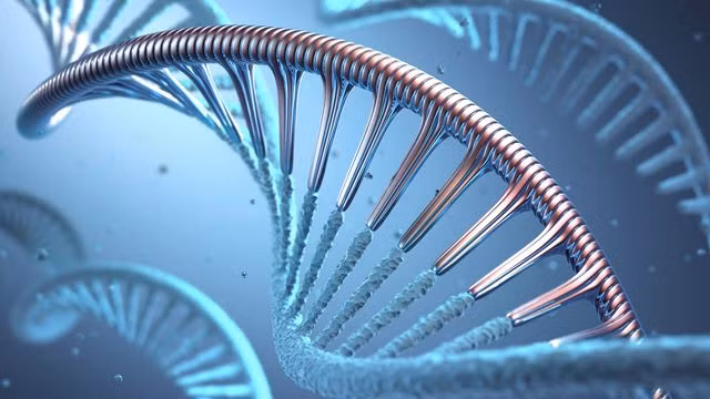 Trong nghiên cứu mới nhất, kết quả phân tích ADN do Đại học Phúc Đán thực hiện cho thấy Chu Vũ Đế có một số đột biến khiến ông có nguy cơ đột quỵ cao hơn.