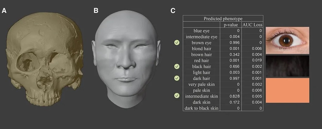 Trong đó, một số người cho rằng, Chu Vũ Đế có thể ngộ độc thạch tín. Điều này có thể xuất phát từ việc ông học theo Đạo giáo và uống các loại đan dược nhằm theo đuổi ước mơ trường sinh bất lão.