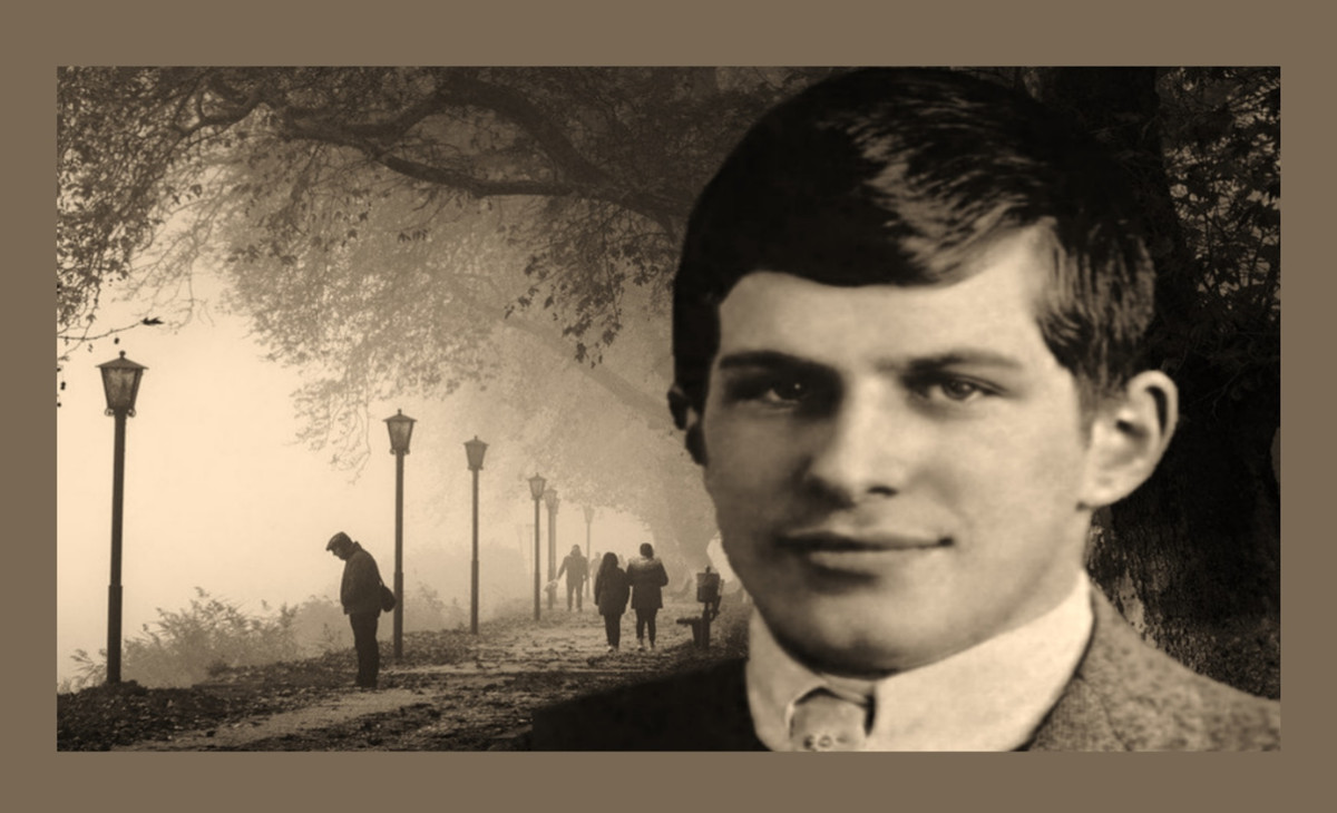 Cụ thể, trong thời gian học ở Harvard, Sidis không thể có cuộc sống bình thường. Cậu thường bị một số sinh viên trong trường trêu chọc, chế giễu, thậm chí cô lập. Thêm nữa, thiên tài này bị quấy rầy bởi các phương tiện truyền thông.