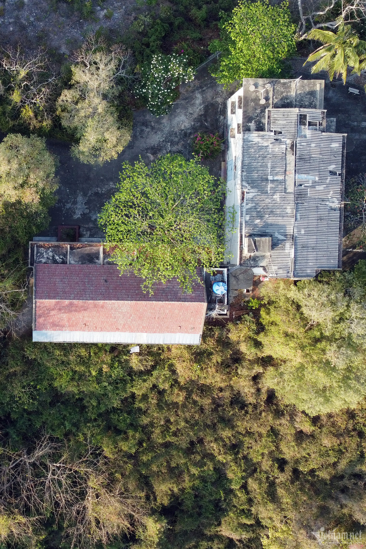 Mục tiêu dự án lúc đó là xây dựng nơi này thành khu biệt thự, khách sạn 5 sao, khách sạn cho thuê, các biệt thự cho thuê dài hạn hoặc bán. Còn 5 biệt thự cổ trên cũng thuộc sở hữu của dự án Bảo Đại resort Nha Trang và doanh nghiệp sẽ cải tạo để cho thuê, phục vụ kinh doanh du lịch. 