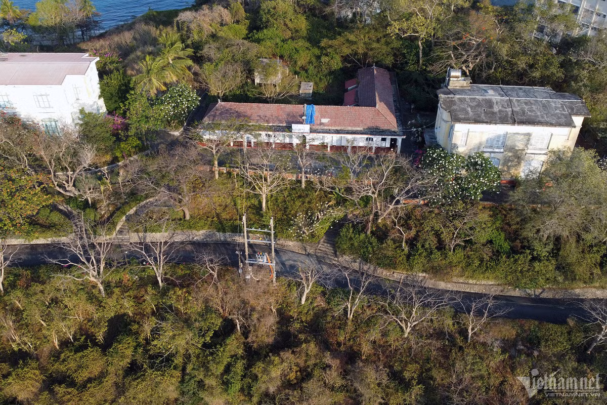 Khu biệt thự lầu Bảo Đại gồm 5 căn nhà cổ tên là Xương Rồng, Bông Sứ, Bông Giấy, Phượng Vĩ và Cây Bàng, do người Pháp xây năm 1923, làm nơi ở cho các nhà hải dương học. Từ năm 1940 đến 1945, hoàng đế Bảo Ðại thường tới đây nghỉ dưỡng nên mang tên vị vua cuối cùng của Việt Nam. Tháng 10/1995, các tòa nhà này được công nhận "Di tích lịch sử văn hóa và danh lam thắng cảnh". 