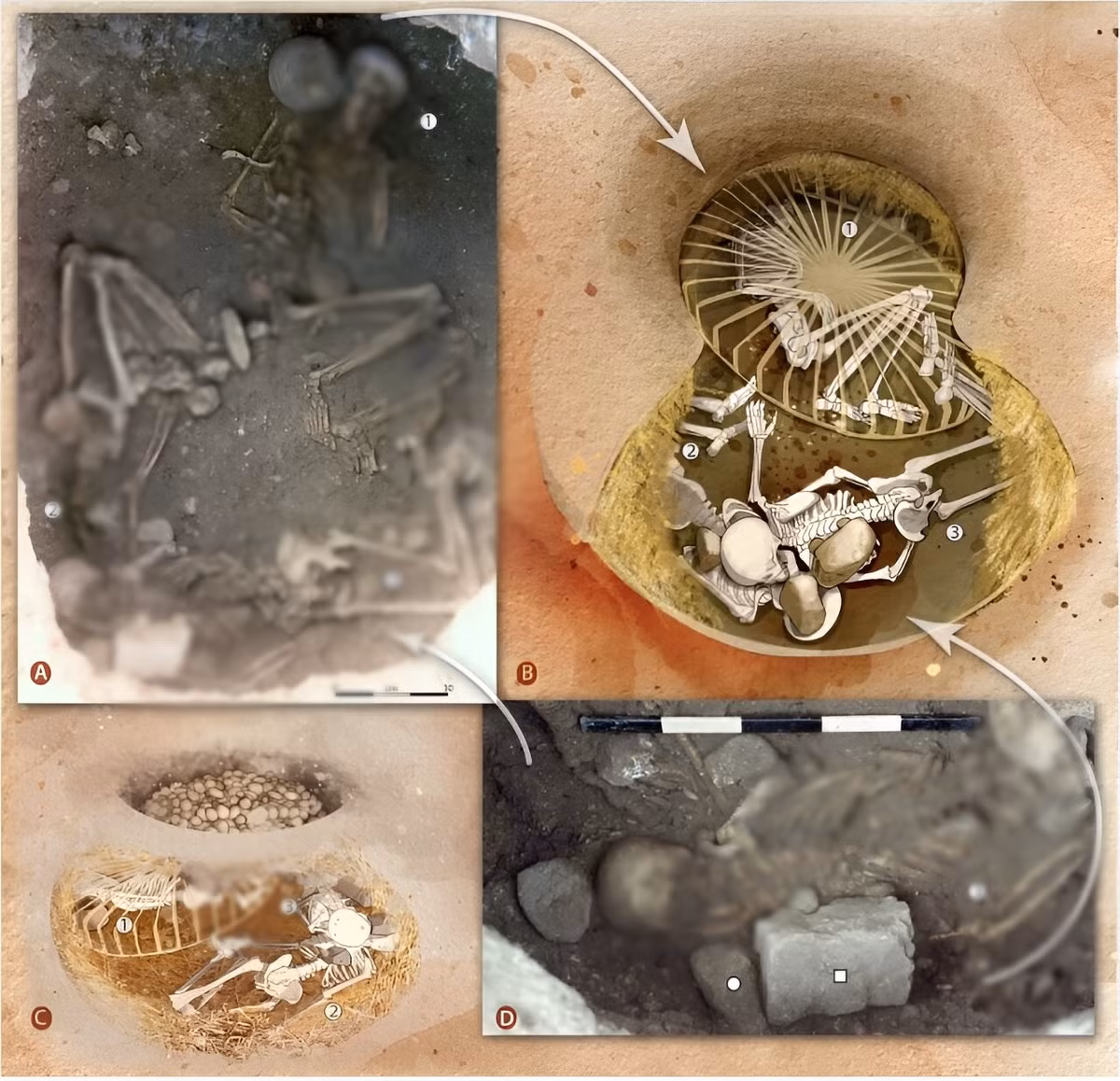 Những nghi lễ hiến tế rùng rợn trên được người xưa thực hiện có liên quan đến lĩnh vực nông nghiệp.