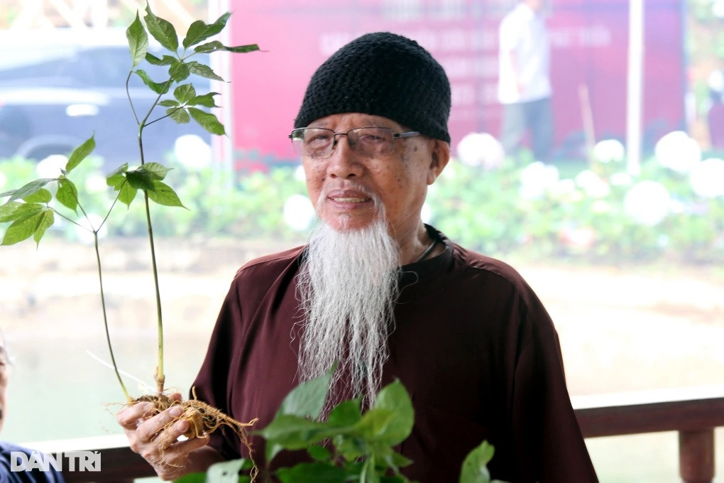 Dược sỹ Đào Kim Long (trong ảnh) là người phát hiện ra sâm Ngọc Linh năm 1973. Theo ông Long, sâm Ngọc Linh có loại kháng sinh thực vật mạnh hơn 20 lần so với thuốc kháng sinh penicillin, tiêu diệt được vi khuẩn, virus. Ảnh: Ảnh: Dân trí.