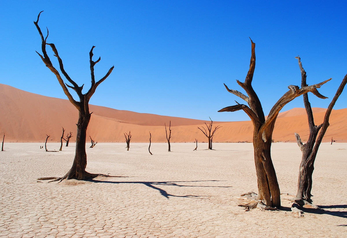 Deadvlei ở Namibia được xem là “nghĩa địa cây khô” nổi tiếng thế giới. Nơi đây gây ấn tượng với du khách với những thân cây chết khô màu đen trên sa mạc tạo nên một cảnh quan thiên nhiên khác lạ giống như thế giới của người ngoài hành tinh.