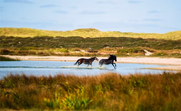 Trung bình mỗi năm, đảo di chuyển được 100m. Trong gần 200 năm qua, đảo Sable đã di chuyển được quãng đường dài khoảng 20 km.