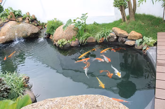 Ngay sau khi nắm bắt được sự việc, UBND phường Cao Xanh đã chỉ đạo lực lượng chức năng và các đoàn thể hỗ trợ, động viên, cùng gia đình lo hậu sự cho hai cháu. (Ảnh minh hoạ)