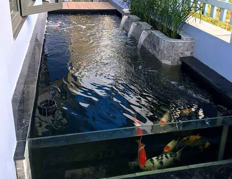 Theo thông tin ban đầu, trong dịp nghỉ Tết Nguyên đán 2023, cha mẹ đưa bé đi chơi ở một quán cà phê cá Koi tại địa phương. Tại đây, bé chạy chơi tự do xung quanh. Mãi một lúc sau khi không thấy bé, phụ huynh mới tỏa ra tìm kiếm thì tá hỏa phát hiện người dân đã vớt bé từ hồ cá Koi lên và đang sơ cứu, trong tình trạng nguy kịch. Sau 2 ngày điều trị tích cực, cháu bé đã không qua khỏi. (Ảnh minh hoạ)