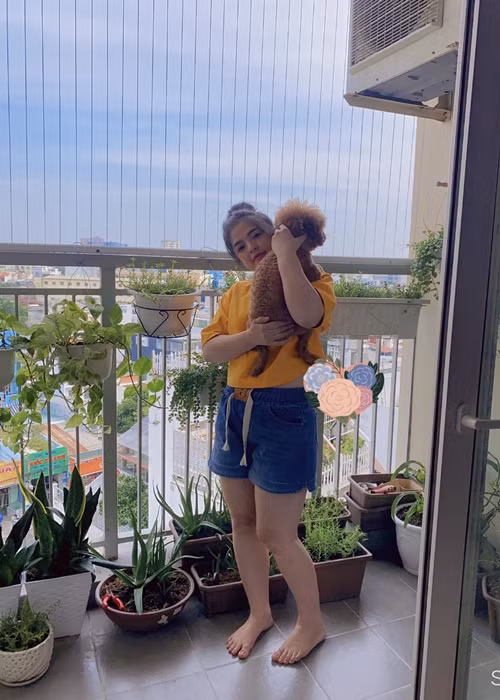 Cẩm Giang vừa nội trợ vừa bán hàng online. Trong cuộc phỏng vấn với Vietnamnet, đạo diễn Phương Điền cho biết, Cẩm Giang rất ngại đám đông, nhất là khi tiếp xúc với người trong showbiz.