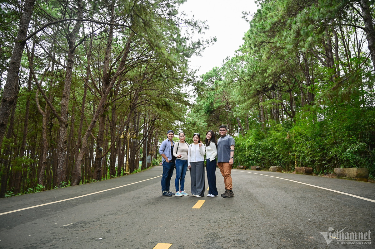 Để vào con đường này, du khách sẽ phải mua vé với giá 10.000/ lượt. Du khách có thể đi dọc hết con đường để cảm nhận trọn vẹn vẻ đẹp của vùng đất đại ngàn và đừng quên chụp những bức ảnh xanh tươi thơ mộng.