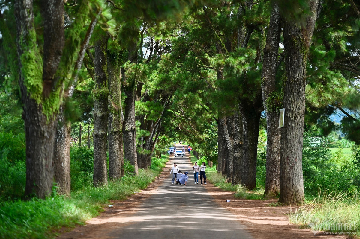 Vào những ngày nắng đẹp, du khách sẽ phải chờ khá lâu để có thể tranh thủ chụp những bức hình không bị vướng người xung quanh.