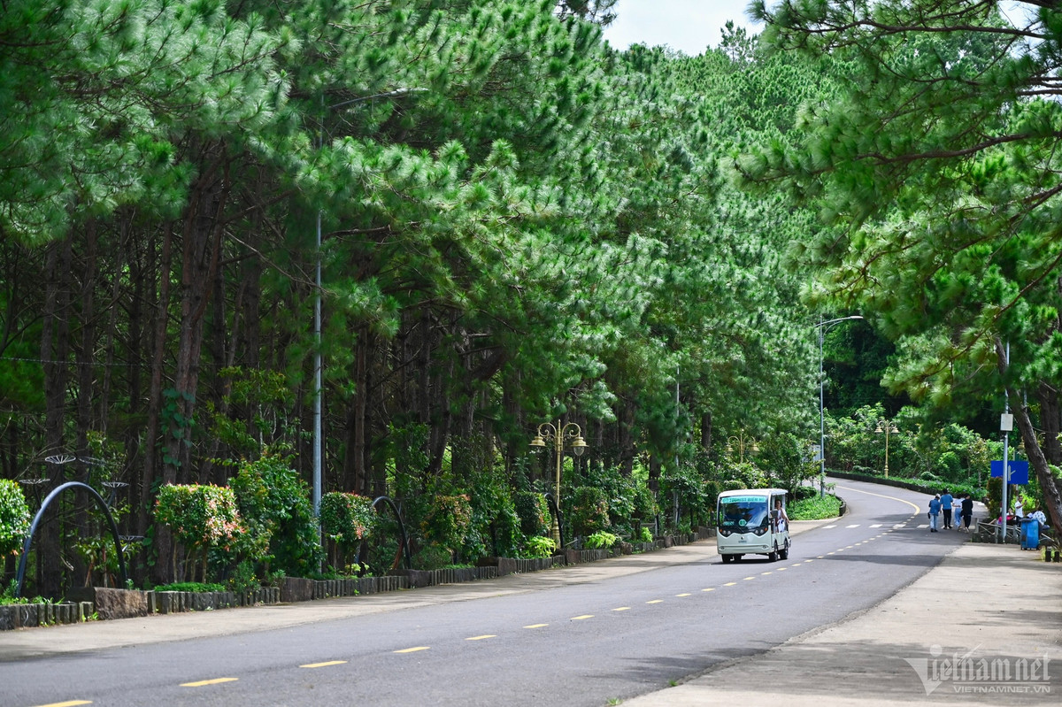 Vì là khu du lịch được quy hoạch bài bản, nên đường ở đây rộng, thoáng đãng và sạch sẽ.