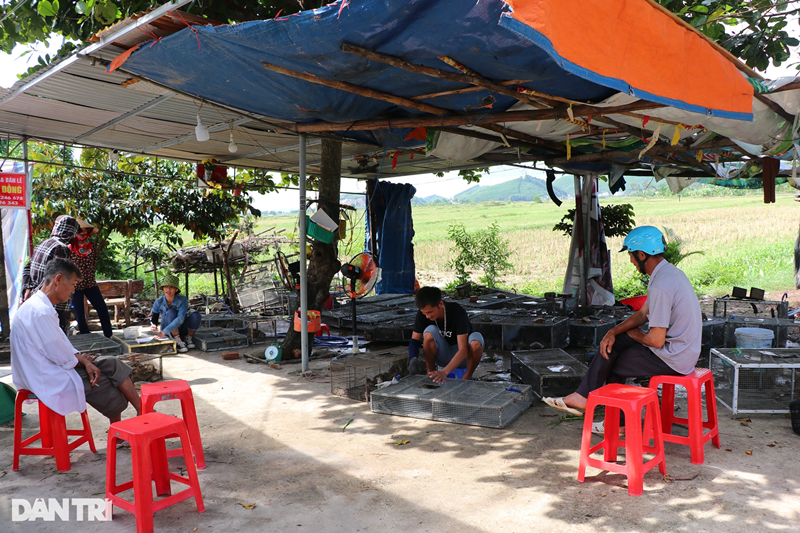 Xã Đức Thành (huyện Yên Thành, Nghệ An) nổi danh với các món ăn được chế biến từ thịt chuột. Nếu trước đây, chuột được săn bắt để chống phá hoại mùa màng, làm các món ăn "chơi chơi" thì nay chuột đã trở thành hàng hóa, mang lại thu nhập khá cho người dân. Ông Hà Văn Công - Chủ tịch UBND xã Đức Thành - cho biết: "Nghề săn, bán chuột đồng mang lại thu nhập ổn định cho hàng trăm hộ dân. Có những hộ kiếm 1-1,5 triệu đồng/đêm nhờ đi bắt chuột bán. Trên địa bàn xã có 2 cơ sở thu mua chuột đồng, ngày cao điểm có thể nhập gần 1 tấn chuột sống".