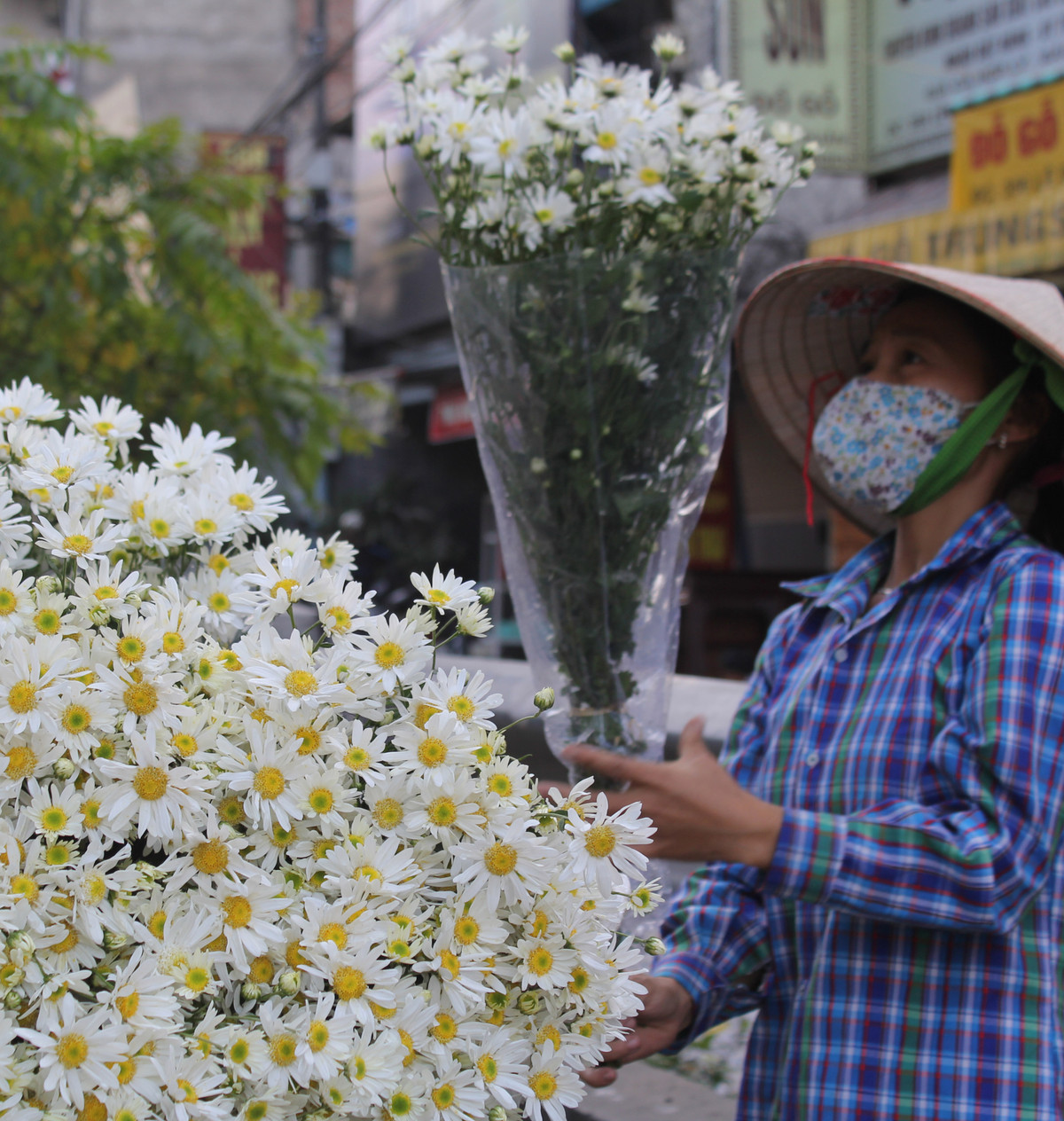 Xao xuyen mua cuc hoa mi-Hinh-4