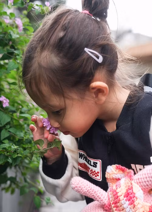 Bé Lisa mang vẻ đẹp lai Tây. Được biết, Hồ Ngọc Hà có bố mang dòng máu Pháp Việt. Còn Kim Lý có mẹ là người Thụy Điển.