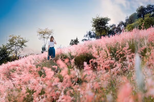 Doi co hong dep la cach Ha Noi 70km, khach do toi check-in