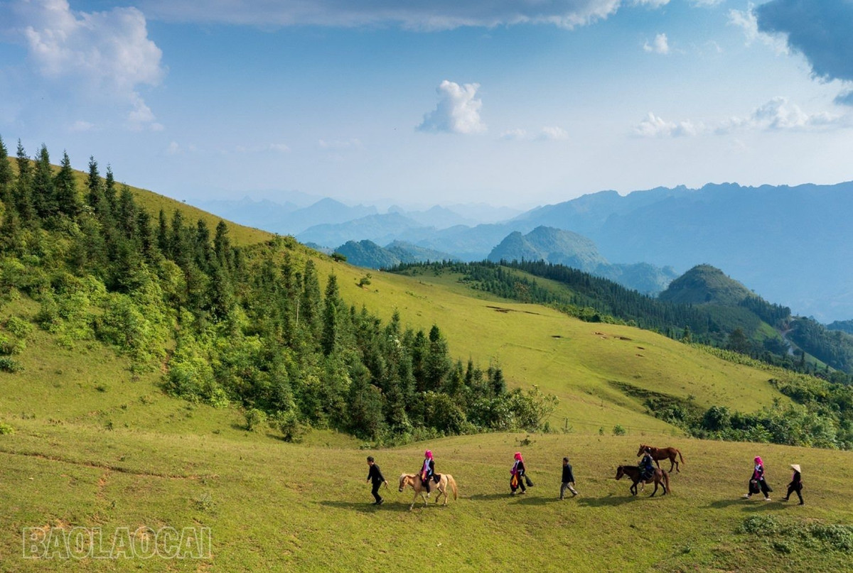 Để đến được ngọn đồi này, bạn nên di chuyển bằng xe máy bởi vì đường đi khá nhỏ và hẹp, uốn lượn quanh đồi núi.