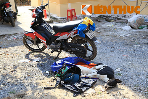 Bi truy duoi, “cau tac” doa giet cong an Binh Duong-Hinh-2