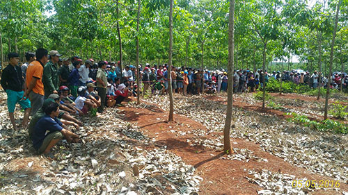 Rất nhiều người dân hiếu kỳ tập trung theo dõi cơ quan chức năng kaám nghiệm.