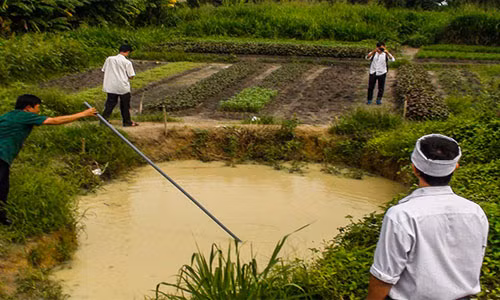 Hố nước sâu, nơi 3 đứa trẻ chết đuối thương tâm.